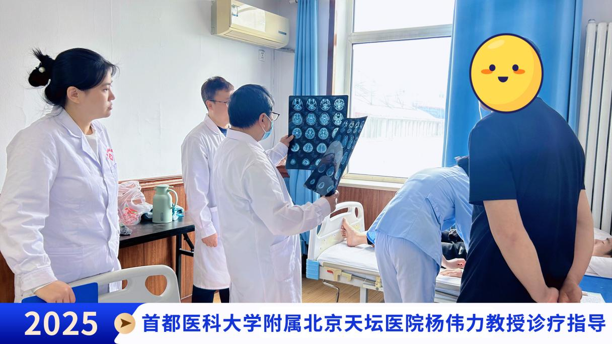 【北京天坛专家助力龙江】首都医科大学附属北京天坛医院杨伟力教授莅临我院开启癫痫精准诊疗新篇章